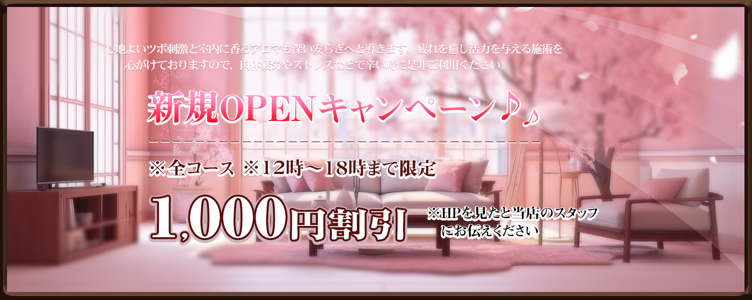 メンズエステ『大人のSpa』のシステム表
